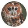Baby Tawny Owl Round Sticker