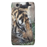 Baby Tiger cub lying down Motorola Droid RAZR Covers