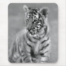 Baby Tiger in Black and white Mouse Pads