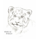 Baby Tiger sketch t-shirts by rescue_ranch Baby Tiger sketch t-shirts