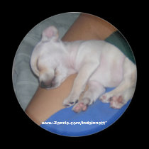 Baby Tired-Magnet. by Indainnett Baby Tired-Magnet.