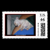 Baby Tired-Postage. postage by Indainnett Baby Tired-Postage. postage