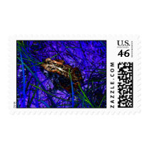 Baby Toad In Blacklight Grass-lateral view- by KLM stamps