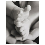 Baby Toes letterhead
