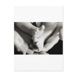 Baby Toes Postcard