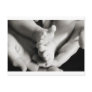 Baby Toes Postcards