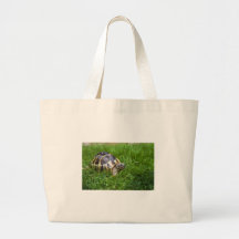 Baby Tortoise Canvas Bags