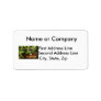 Baby Tree Frog in Bonsai plant with text Custom Address Labels