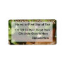 Baby Tree Frog in Bonsai plant with text Custom Address Label