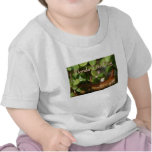 Baby Tree Frog in Bonsai plant with text T Shirt