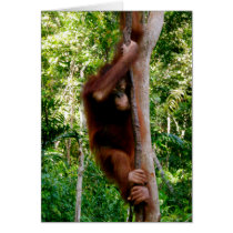 Baby Tree Hugger: Great Ape cards by Rebecca_Reeder Baby Tree Hugger: Great Ape cards