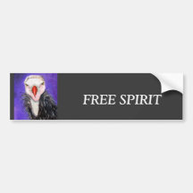 Baby Vulture Bumper Sticker