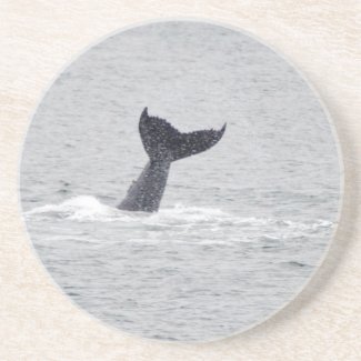 Baby Whale Tail Coaster coaster