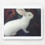 Baby White Flemish Giant Mousepad
