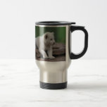 Baby white lion cub 2 coffee mugs