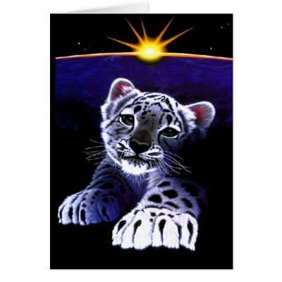 Baby White Tiger Greeting Cards by fstasu58