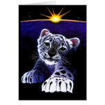 Baby White Tiger Greeting Cards