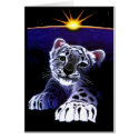 Baby White Tiger cards by fstasu58 Baby White Tiger cards