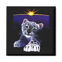 Baby White Tiger Fridge Magnets