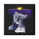 Baby White Tiger magnets by fstasu58 Baby White Tiger magnets