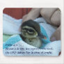 Baby Wood Duck Mouse Pad