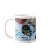 Baby Wood Duck Coffee Mug