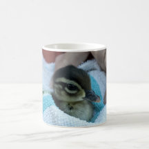 Baby Wood Duck Mugs