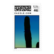 Baby Woodpecker Stamp