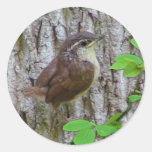 Baby Wren Sticker
