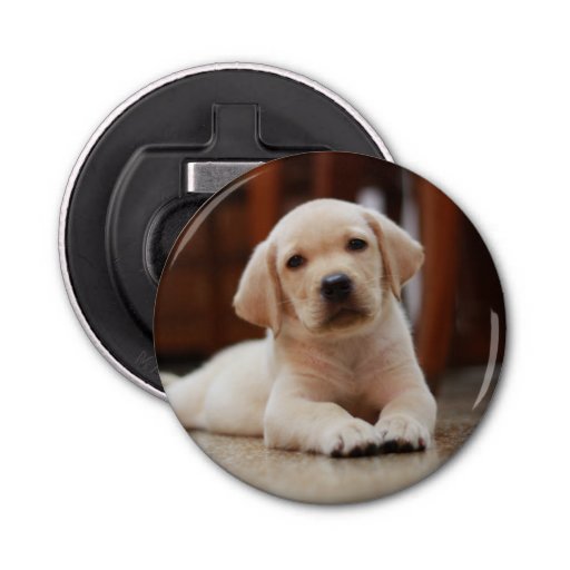 puppy belly button baby yellow labrador puppy laying on belly button bottle opener zazzle puppy belly button baby yellow labrador puppy laying on belly button bottle opener zazzle