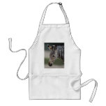 Baby Zebra Apron