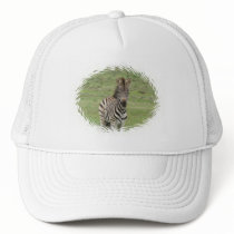 Baby Zebra Baseball Hat