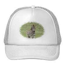 Baby Zebra Baseball Hat