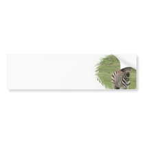 Baby Zebra Bumper Sticker
