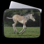Baby Zebra Laptop Sleeve laptop sleeves