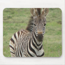 Baby Zebra Mouse Pad