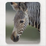 Baby Zebra Mousemat Mouse Pad