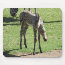 Baby Zebra Mousepad