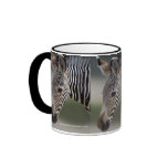 Baby Zebra Mug