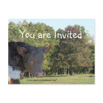 BabyCalf Invitation-customize postcards by MakaraPhotos BabyCalf Invitation-customize postcards