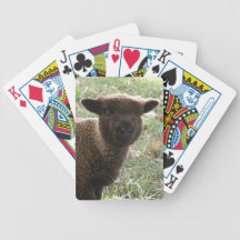 Babydoll Southdown Lamb Poker Cards