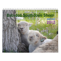 Babydoll Southdown Sheep NABSSAR 2012 Calendar