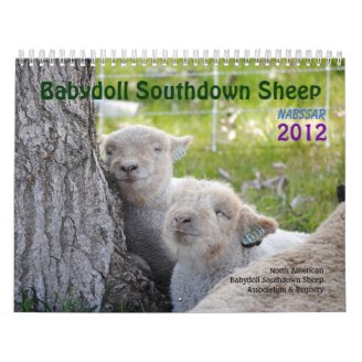 Babydoll Southdown Sheep NABSSAR 2012 Calendar