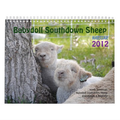 Babydoll Southdown Sheep NABSSAR 2012 Calendar Babydoll Southdown Sheep NABSSAR 2012 Calendar