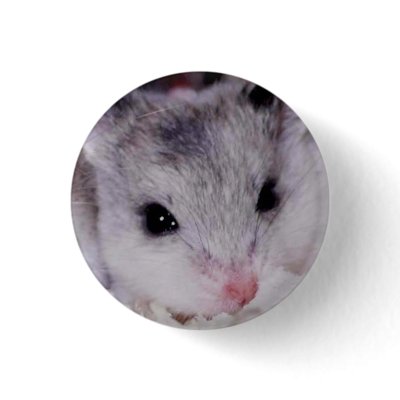 babyham buttons by vectishams