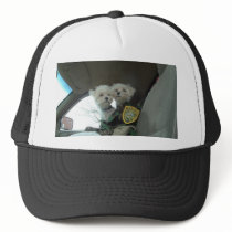 babyies backup 3 hats by patandsteve babyies backup 3 hats