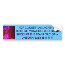 babyinwomb, "OF COURSE I AM AGAINST TORTURE, WH... bumper stickers