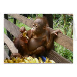 Baby's Banana Picnic Greeting Cards
