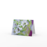 "Baby's Breath" floral notecard "Baby's Breath" floral notecard