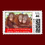 Baby's First Christmas jungle style postage